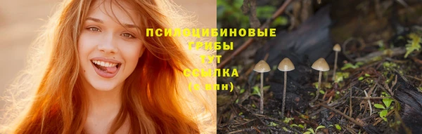 прущие крисы Волосово