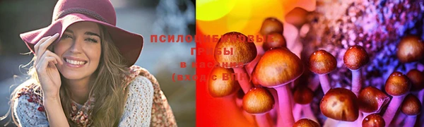 прущие крисы Волосово