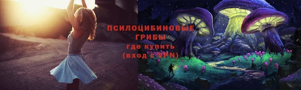 альфа пвп Горно-Алтайск