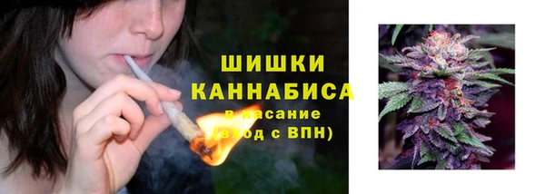 альфа пвп Горно-Алтайск