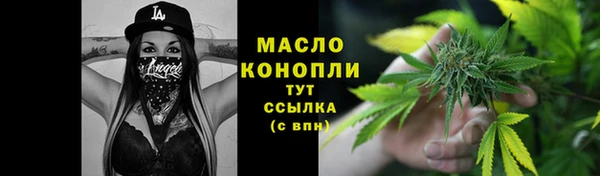 2c-b Горняк
