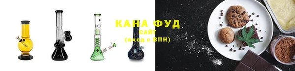 мдпв Горнозаводск