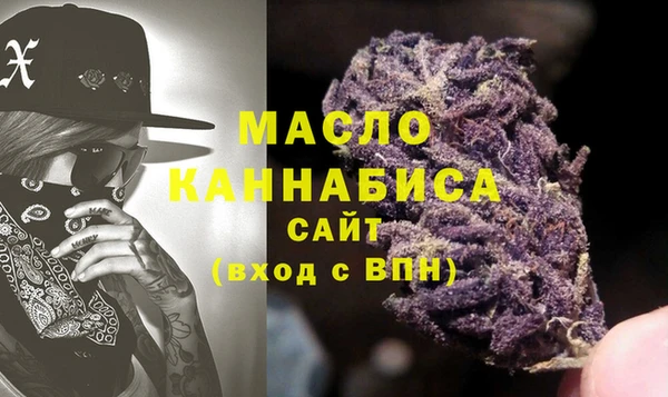 2c-b Горняк