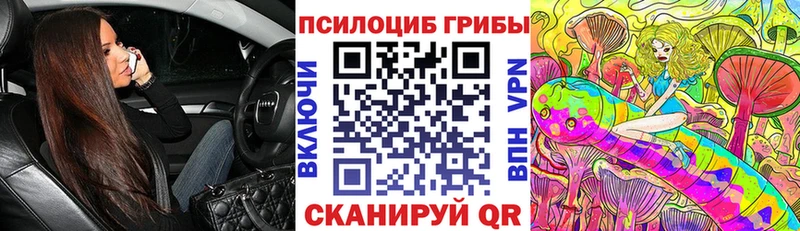 Псилоцибиновые грибы мицелий  продажа наркотиков  Дивногорск 